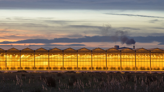 Illuminated industrial greenhouse with yellow lights and blue sky in Westland area Netherlands