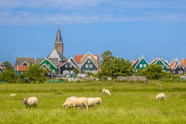 paesaggio tradizionale del villaggio olandese con case di legno colorate e chiesa - amsterdam traditional culture netherlands wood foto e immagini stock