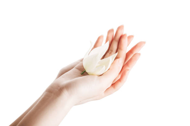 istock womans hand with a flower on the palm 1279879347