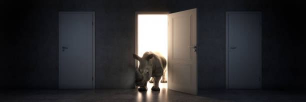 istock rhino enters an open door, 3d rendering 1279879352
