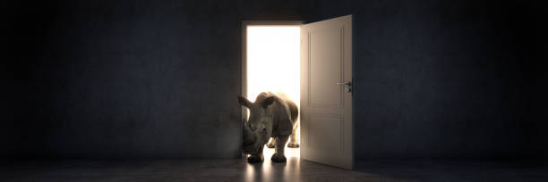 istock rhino enters an open door, 3d rendering 1279879362