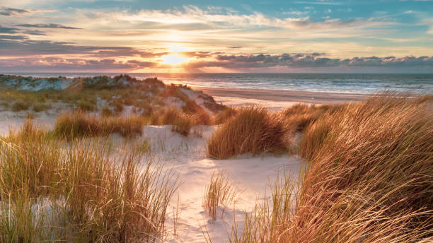 View from dune top over North Sea
