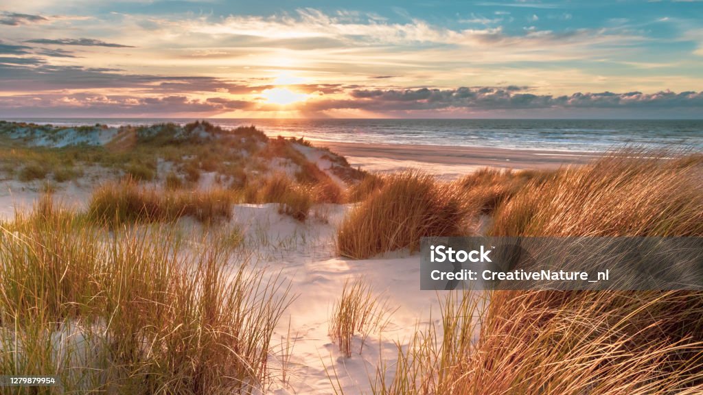 View from dune top over North Sea Sunset View from dune top over North Sea from the island of Ameland, Friesland, Netherlands Landscape - Scenery Stock Photo