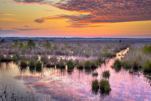 Sunrise over Fochteloerveen swamp nature reserve in Drenthe, the Netherlands