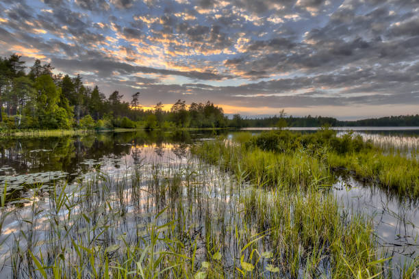 istock Nordvattnet lake in Hokensas Nature reserve 1279880010