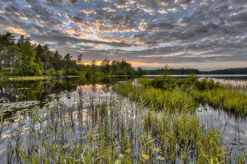Nordvattnet lake in Hokensas Nature reserve, Vastergotland, Sweden