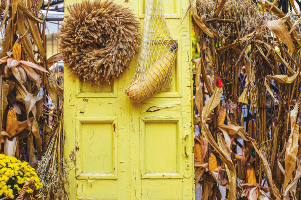 가을 호박 장식 - decoration corn door corn crop 뉴스 사진 이미지