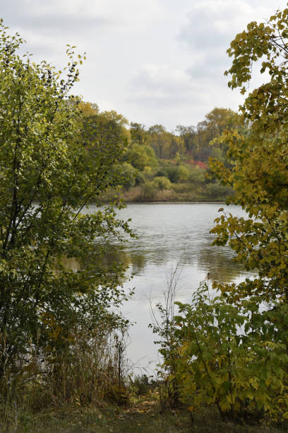 istock Footpath to the Lake Shore 1279881719