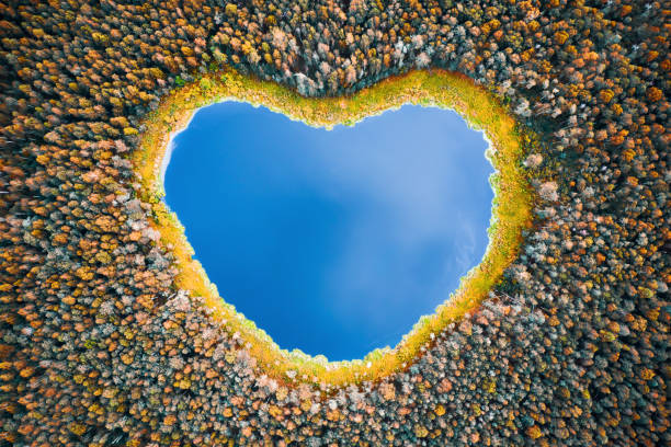 istock Autumn landscape with lake 1279882869