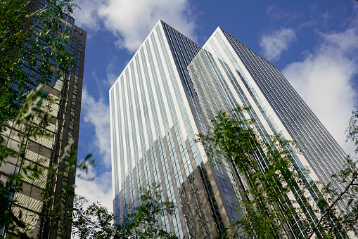 TORONTO FINANCIAL DISTRICT OFFICE BUILDING. Opposition between nature and concrete