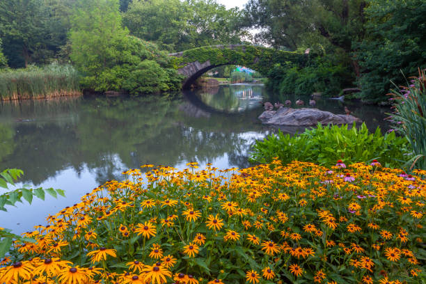 istock Gapstow Bridge in Central Park 1279883760
