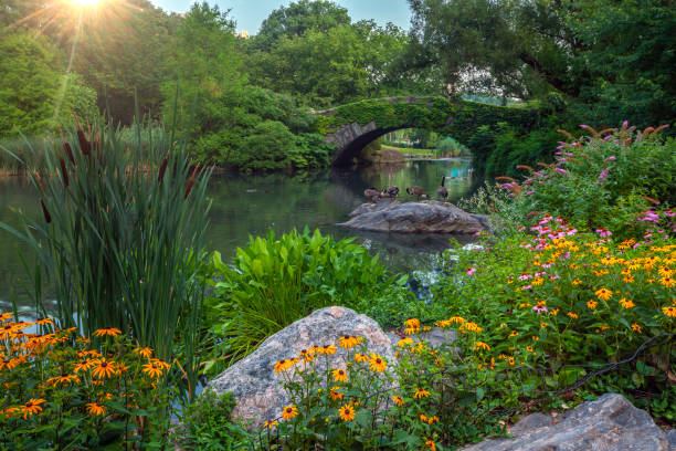 istock Gapstow Bridge in Central Park 1279883905
