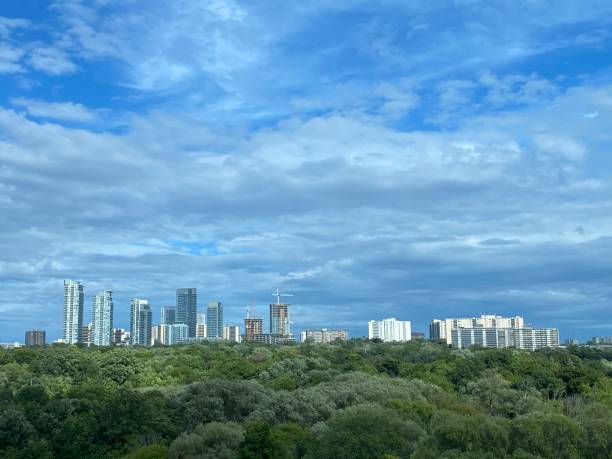 North York skyline across a park