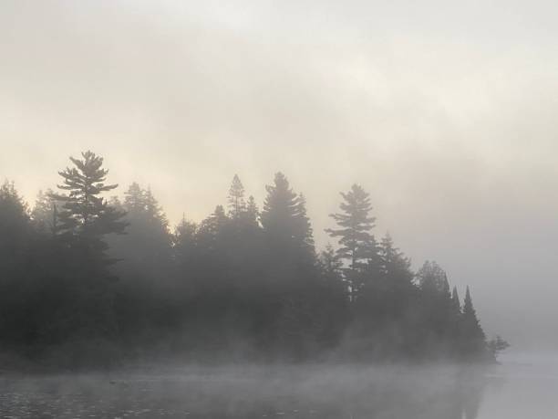 istock Misty morning in Algonquin Park 1279887850