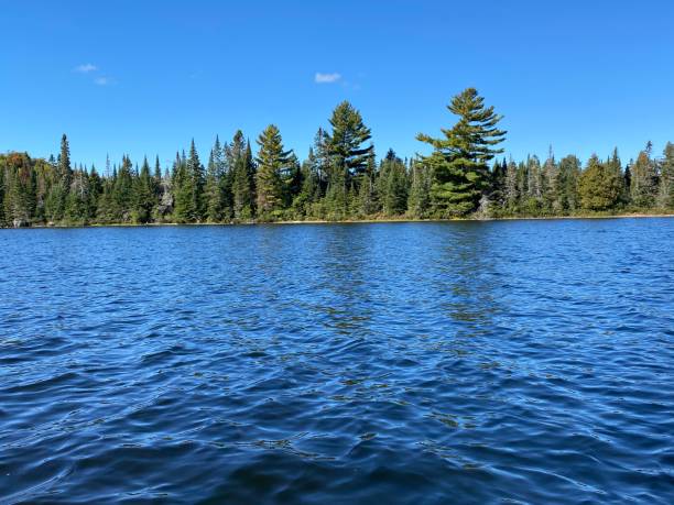 istock Outdoor scene in Algonquin park 1279887860