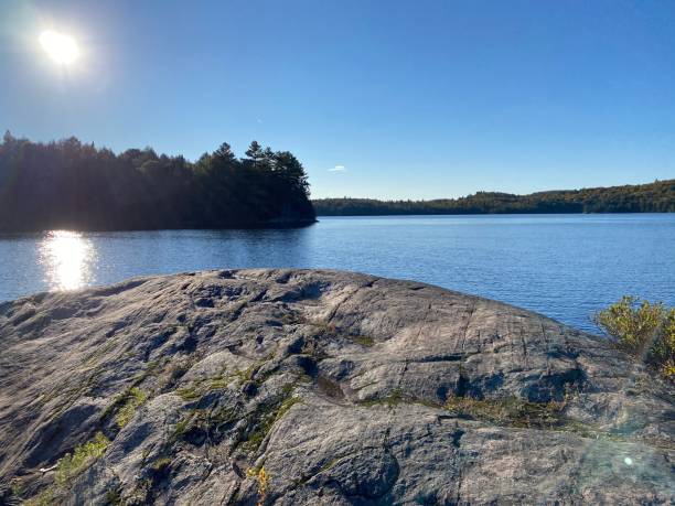 istock Late afternoon in Algonquin park 1279887874