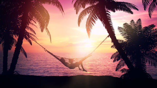 Silhouette of a man resting in a hammock on the beach during sunset.