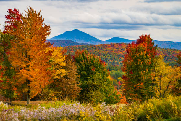 istock Lake Iroquois in Vermont 1279889665