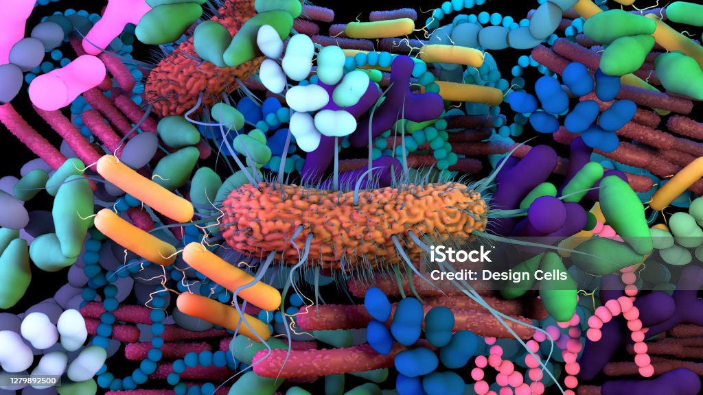 The human Microbiome, genetic material of all the microbes that live on and inside the human body. Microbiome Stock Photo