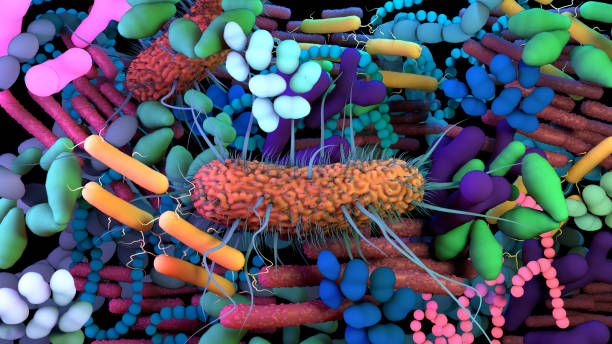 o microbioma humano, material genético de todos os micróbios que vivem dentro e dentro do corpo humano. - virus human immune system bacterium flu virus - fotografias e filmes do acervo