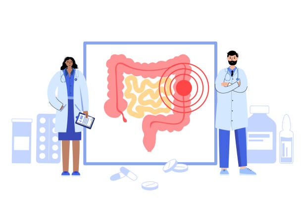 intestine logo concept Intestine logo for gastrointestinal clinic or hospital. Bowel, appendix, rectum and colon anatomy. Digestive system disease medical poster. Human internal organs isolated flat vector illustration. colon cancer screening stock illustrations