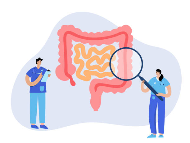 ilustrações, clipart, desenhos animados e ícones de conceito de logotipo do intestino - colon