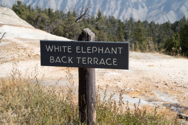 istock White Elephant Back Terrace thermal feature in Yellowstone National Park 1279903512