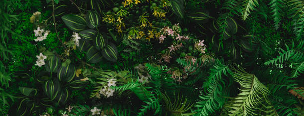 istock Green background concepts.Tropical green leaves, jungle leaf close up 1279905302