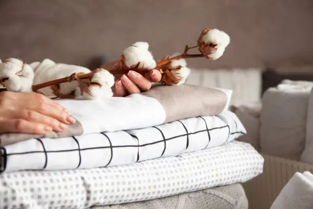 Photo of Well groomed woman hands holding the cotton branch with pile of folded bed sheets and blankets