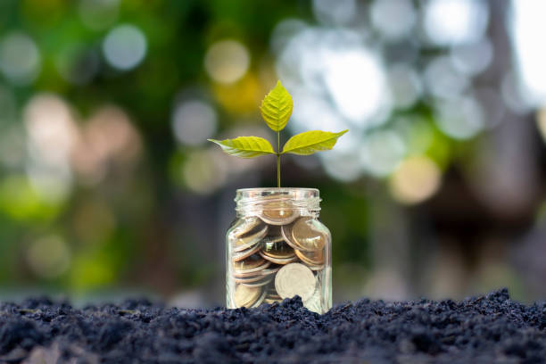 istock Growing tree on money saving bottle with blurred green nature background, economic growth concept. 1279914046