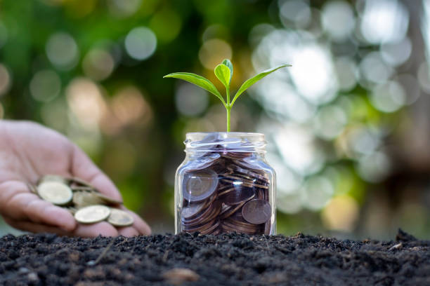 istock Growing tree on money saving bottle with blurred green nature background, economic growth concept. 1279914076