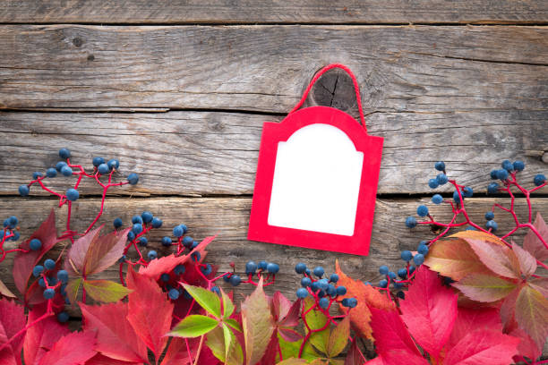 Colorful autumn leaves on rustic wooden background with text