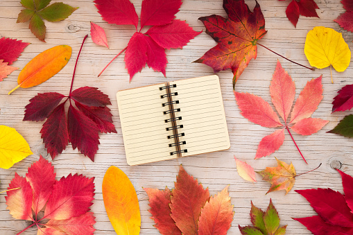 Colorful autumn leaves on rustic wooden background with text