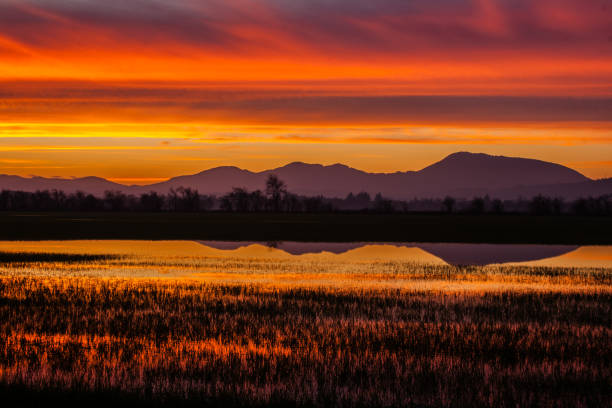 Mary's Peak Sunset and Reflection A sunset picture of mountain range and it's reflection on the water oregon state university stock pictures, royalty-free photos & images