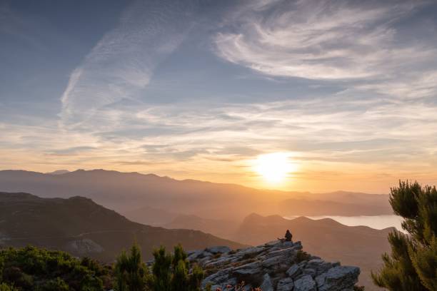 istock Mountain Flora of the Mediterranean 1279916025