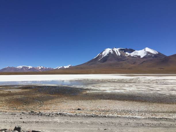 istock Eduardo Avaroa National Reserve in Bolivia 1279917857