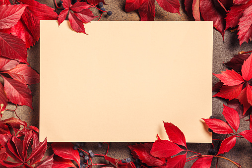 Frame with autumn leaves and an empty sheet for text on a stone background. Concept of fall season. Flat lay, top view, copy space.