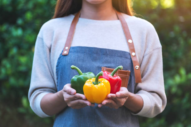istock A woman holding a fresh bell peppers 1279928472