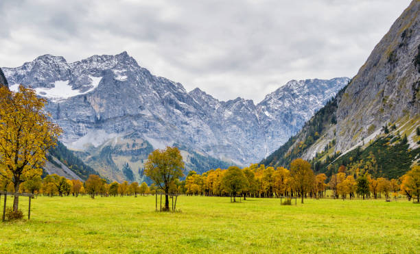 istock Maple trees at Ahornboden, Karwendel mountains, Tyrol, Austria 1279930236