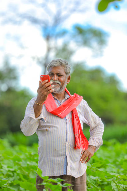 istock Indian farmer using mobile phone at Agriculture field 1279933099