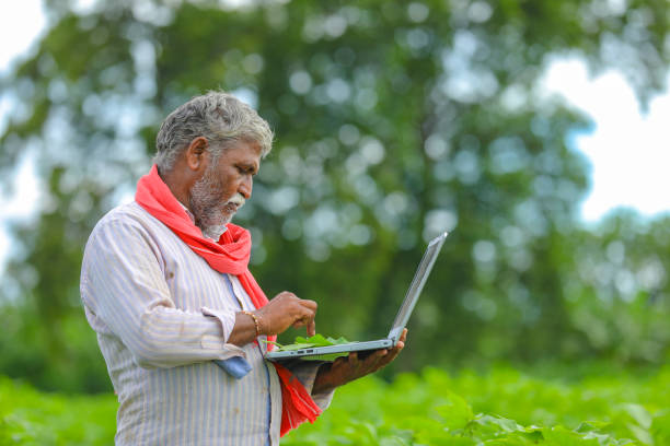istock Indian farmer using a laptop at agriculture field 1279933338