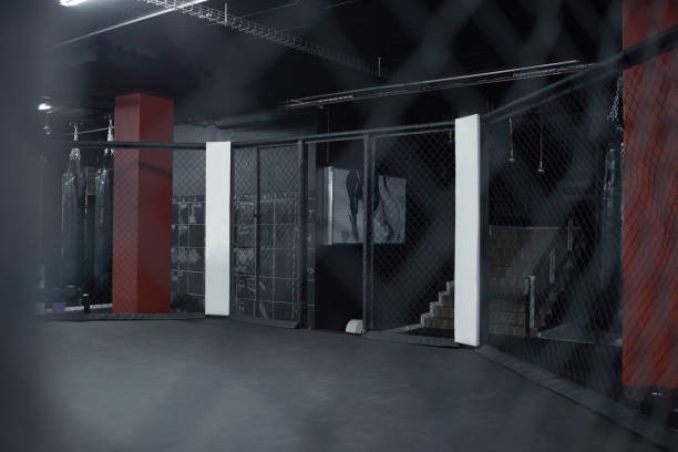 istock Enter the ring to prove your strength 1279933558