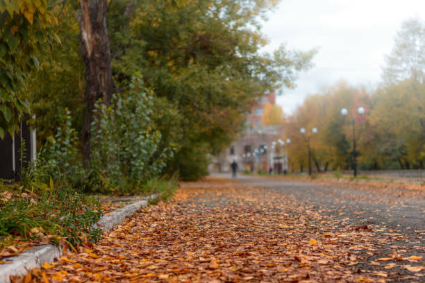 istock Autumn cityscape with yellow leaves 1279935891