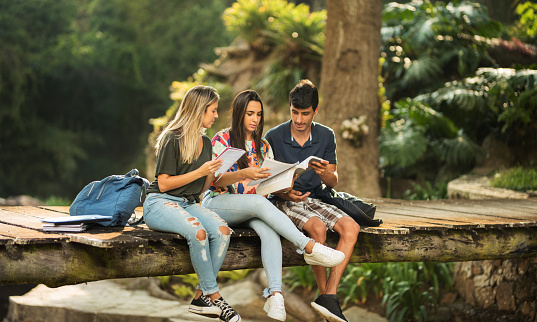 Shot of three university students studying together in college campus