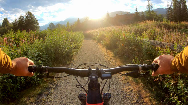 górski e-biker jeździ po alpejskiej łące o wschodzie słońca - personal perspective mountain biking mountain bike cycling zdjęcia i obrazy z banku zdjęć