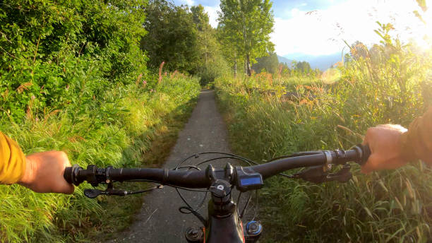 istock Mountain e-biker rides along alpine meadow at sunrise 1279943159