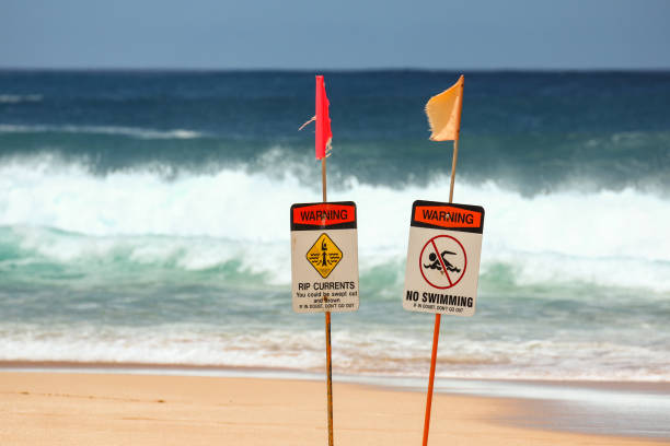 istock Warning signs at a beach with rough waves in the background 1279945513