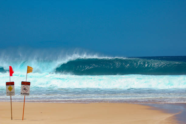 segnali di avvertimento in una spiaggia con onde agitate sullo sfondo - north shore foto e immagini stock