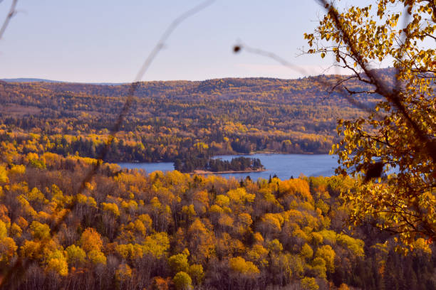 istock Lake with fall colors in Canadian forest, Quebec 1279955632