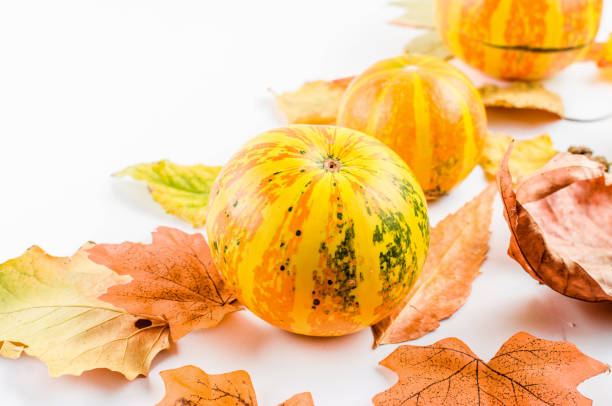 istock autumn background with yellow leaves and pumpkin 1279955694